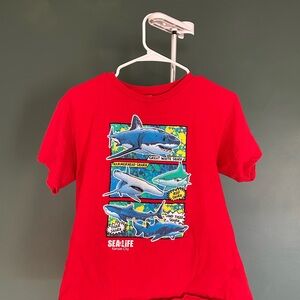 Gildan Red Kids Sea Life Shark Graphic Tee